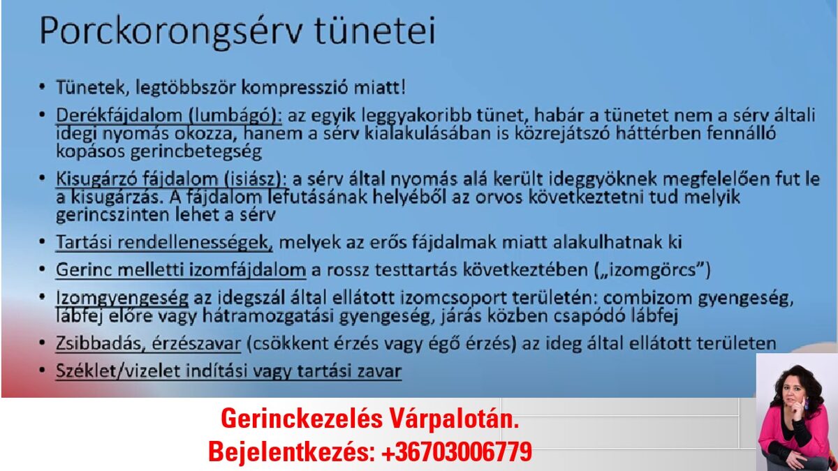 porckorongserv_tunetei.jpg